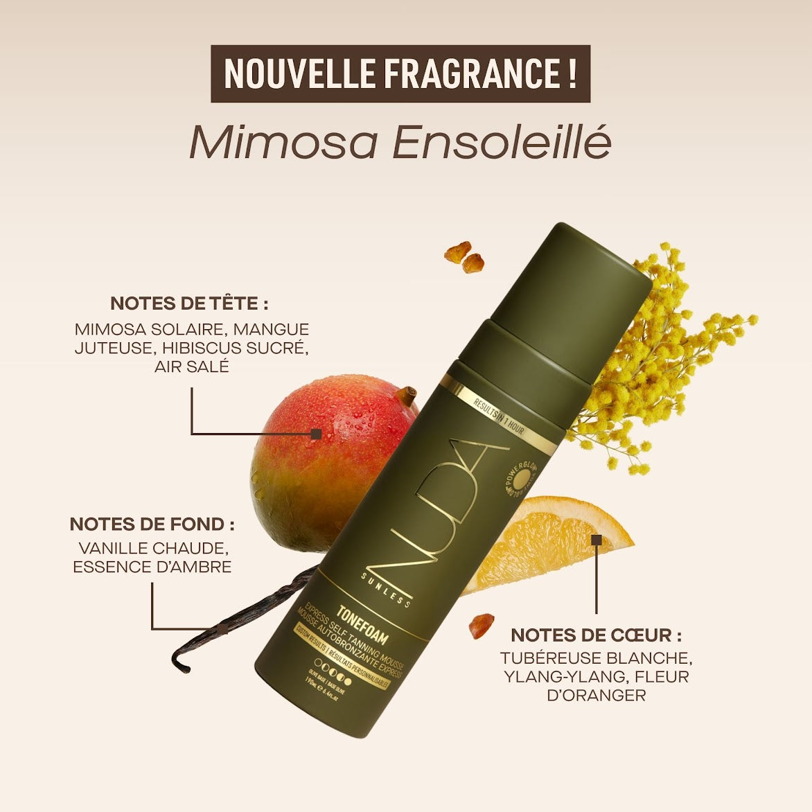 Mousse autobronzante correctrice de teinte | OLIVE